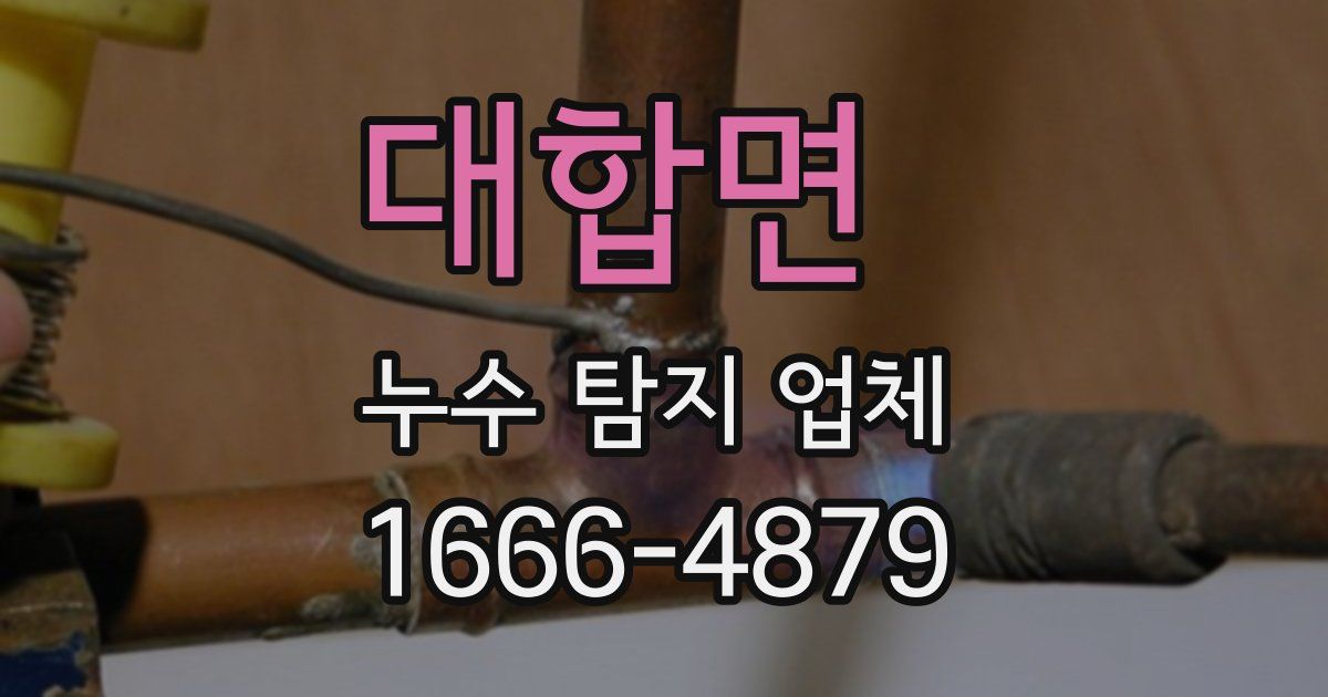 대합면 누수 탐지 업체