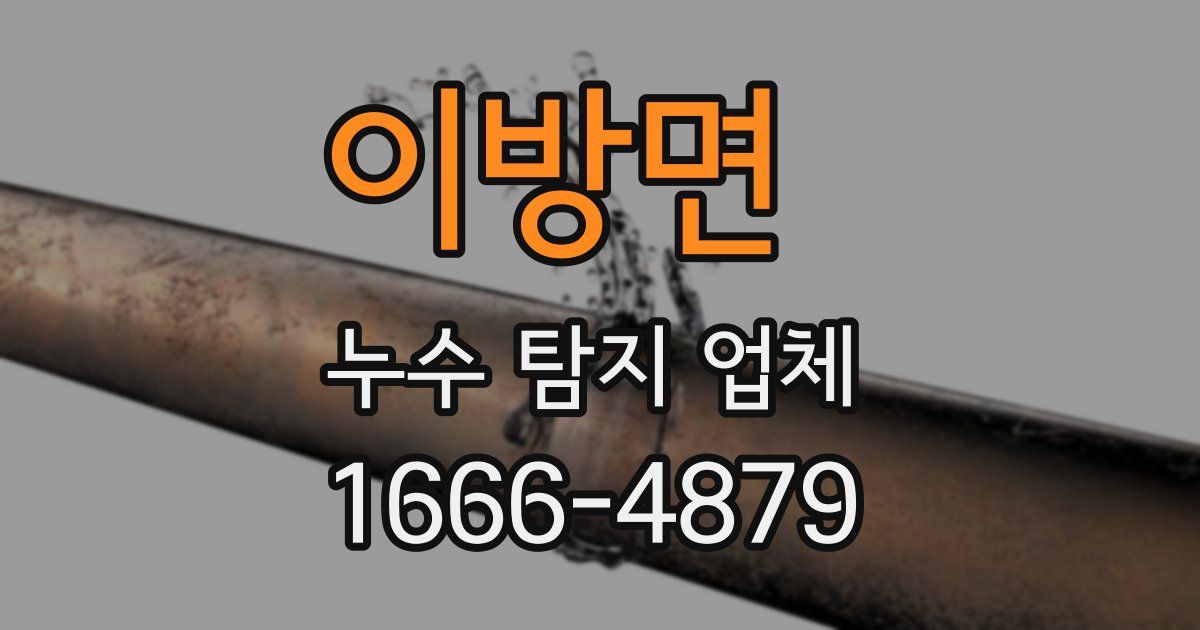 이방면 누수 탐지 업체