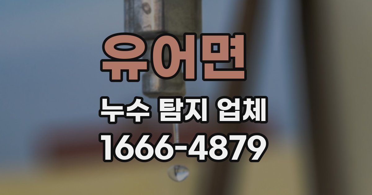 유어면 누수 탐지 업체