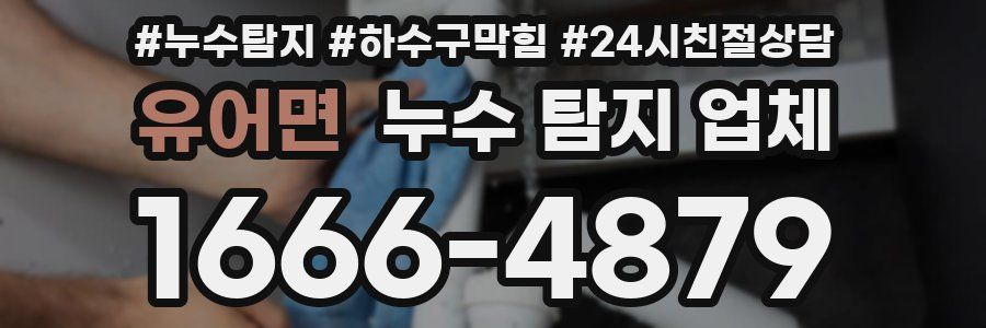 유어면 누수 탐지 업체