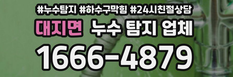 대지면 누수 탐지 업체