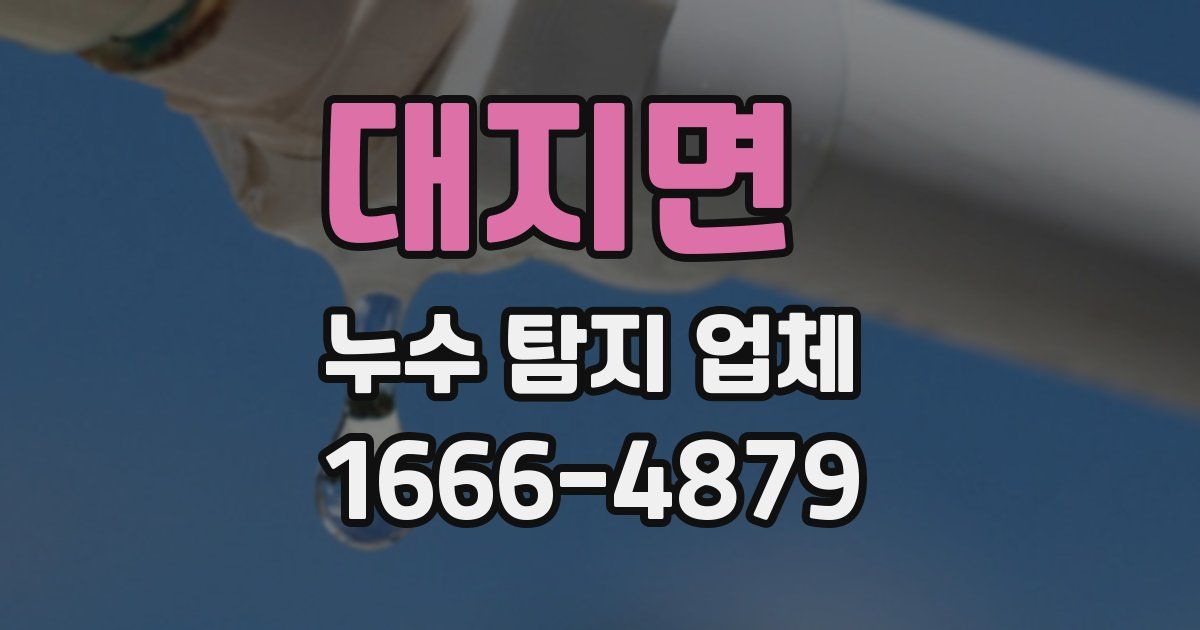 대지면 누수 탐지 업체