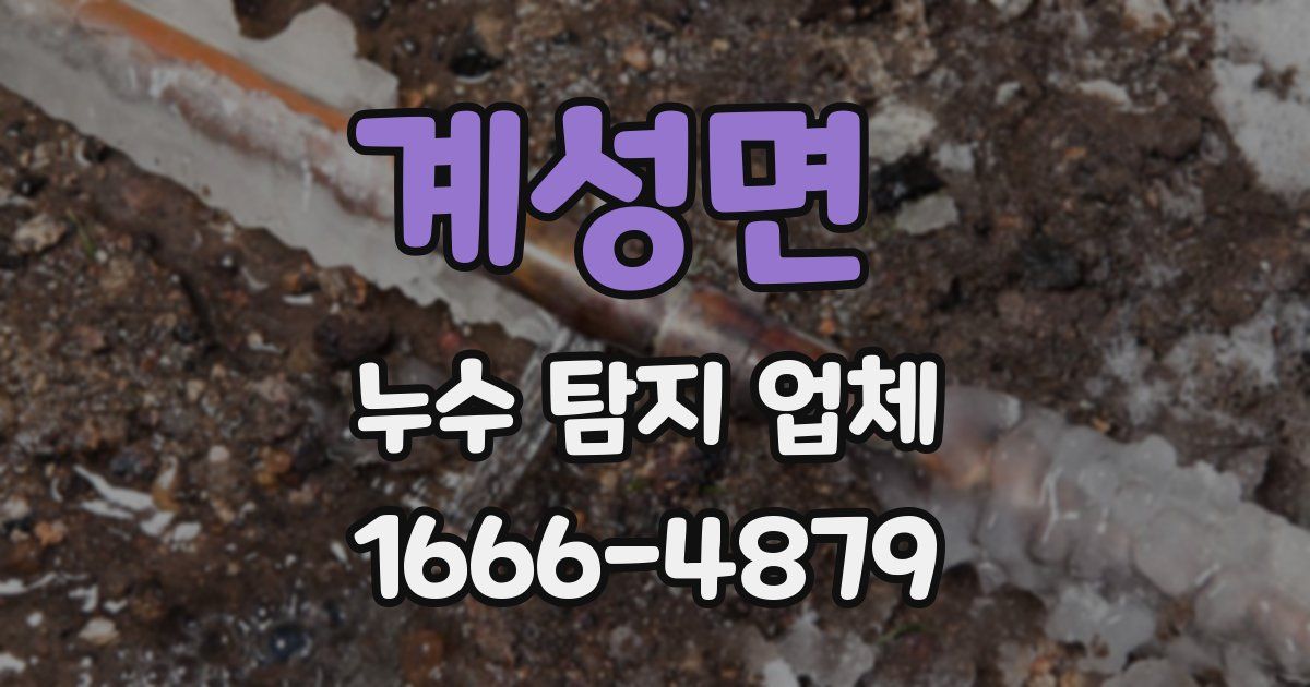 계성면 누수 탐지 업체