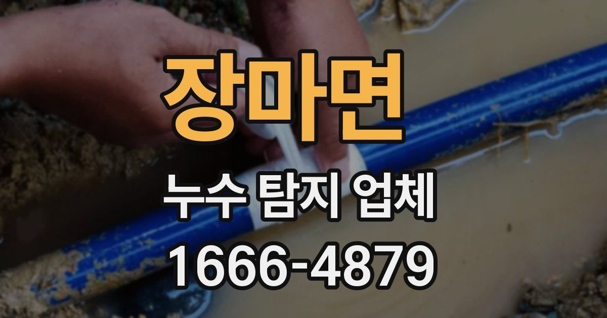 장마면 누수 탐지 업체