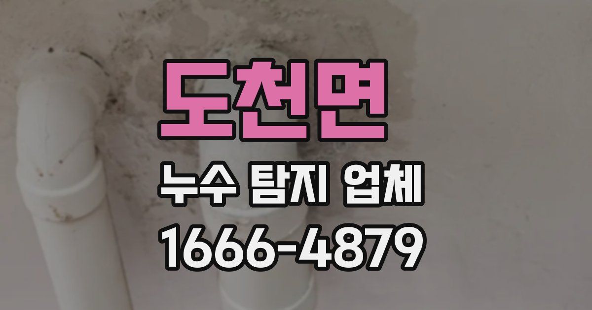 도천면 누수 탐지 업체