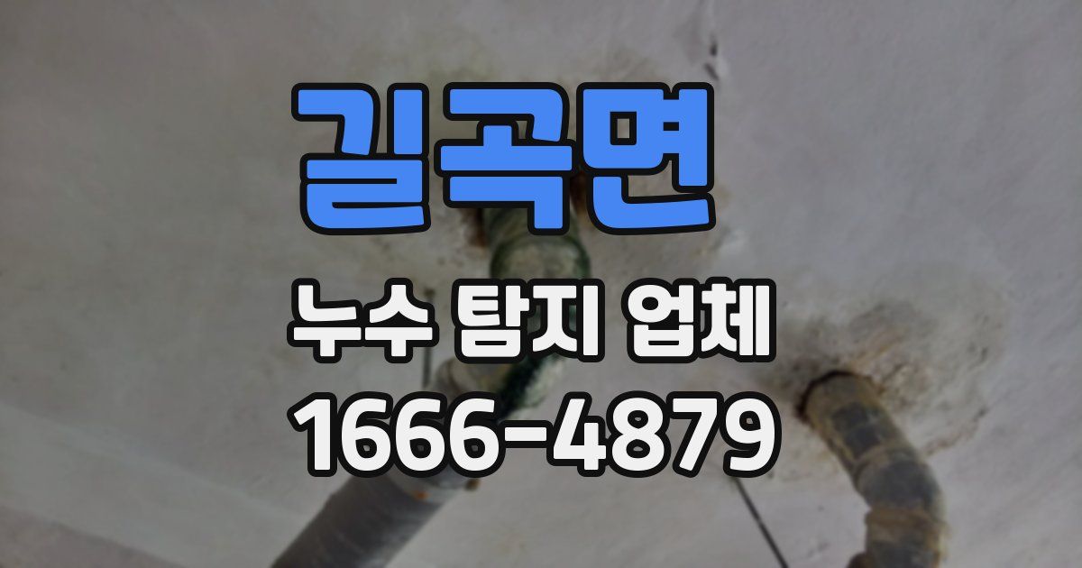 길곡면 누수 탐지 업체