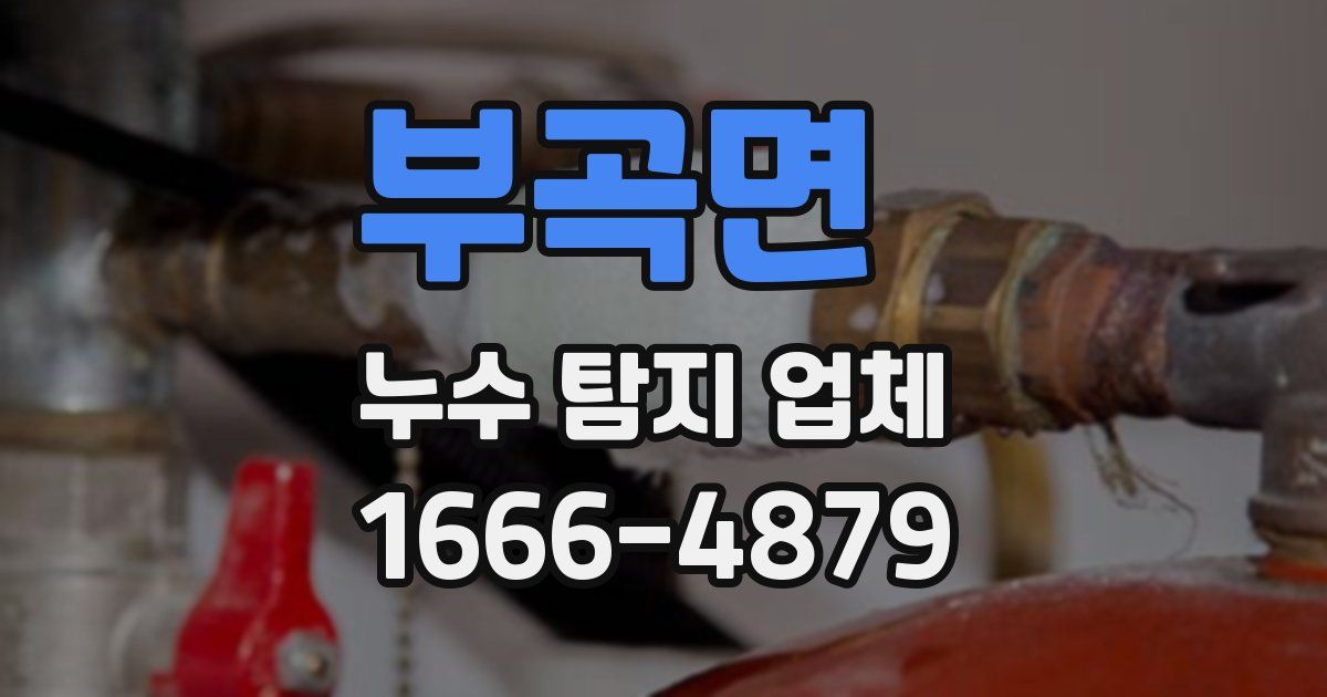 부곡면 누수 탐지 업체