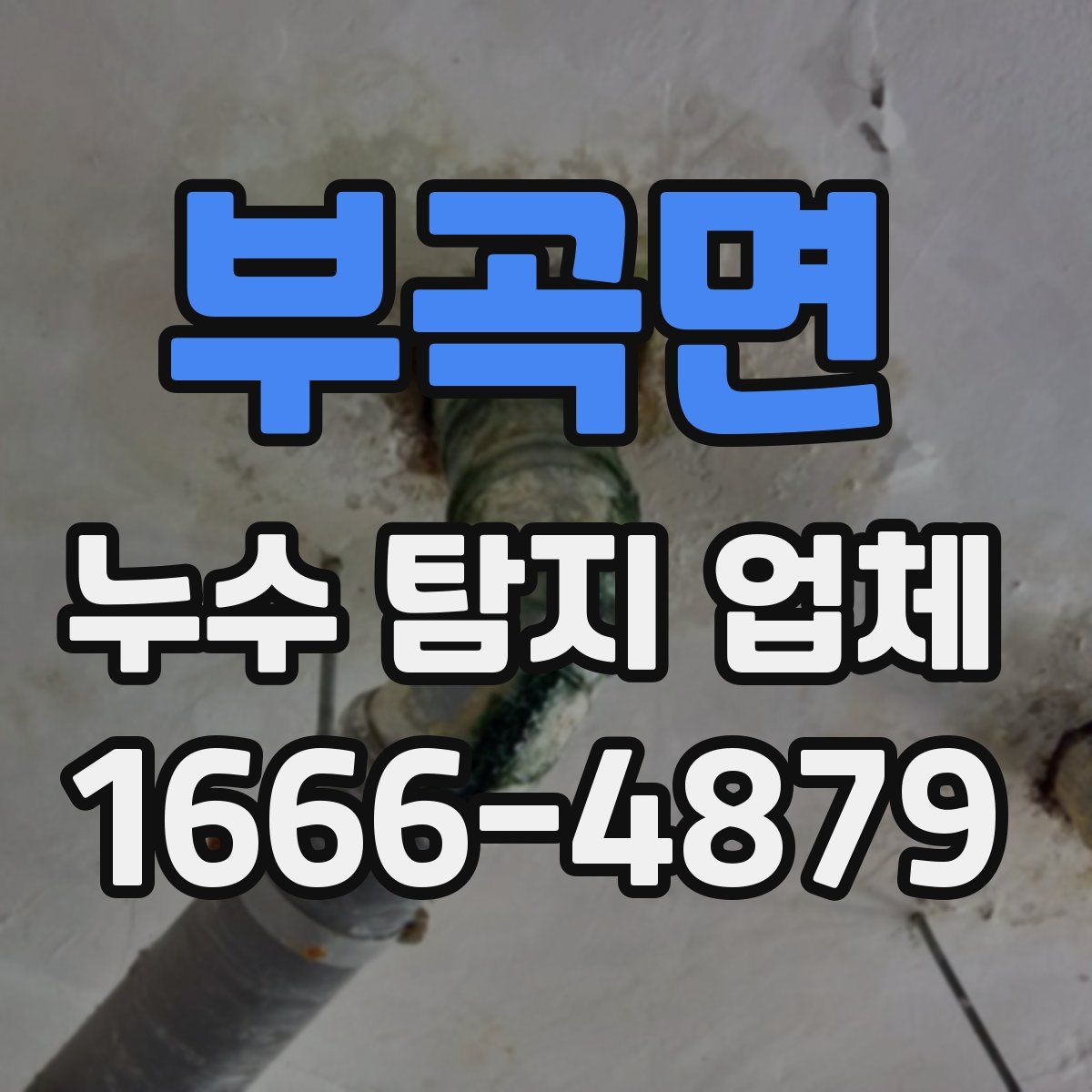 부곡면 누수 탐지 업체