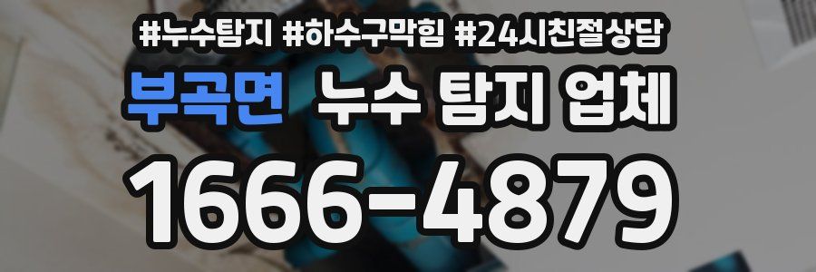 부곡면 누수 탐지 업체
