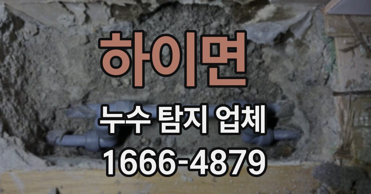 하이면 누수 탐지 업체