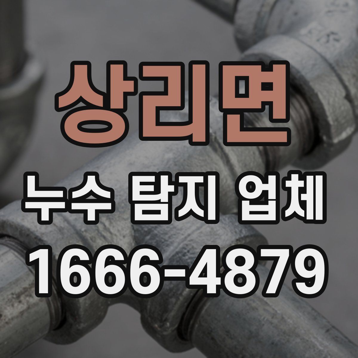 상리면 누수 탐지 업체