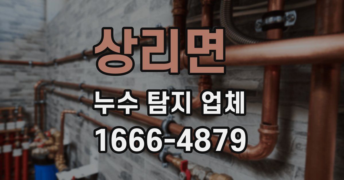 상리면 누수 탐지 업체