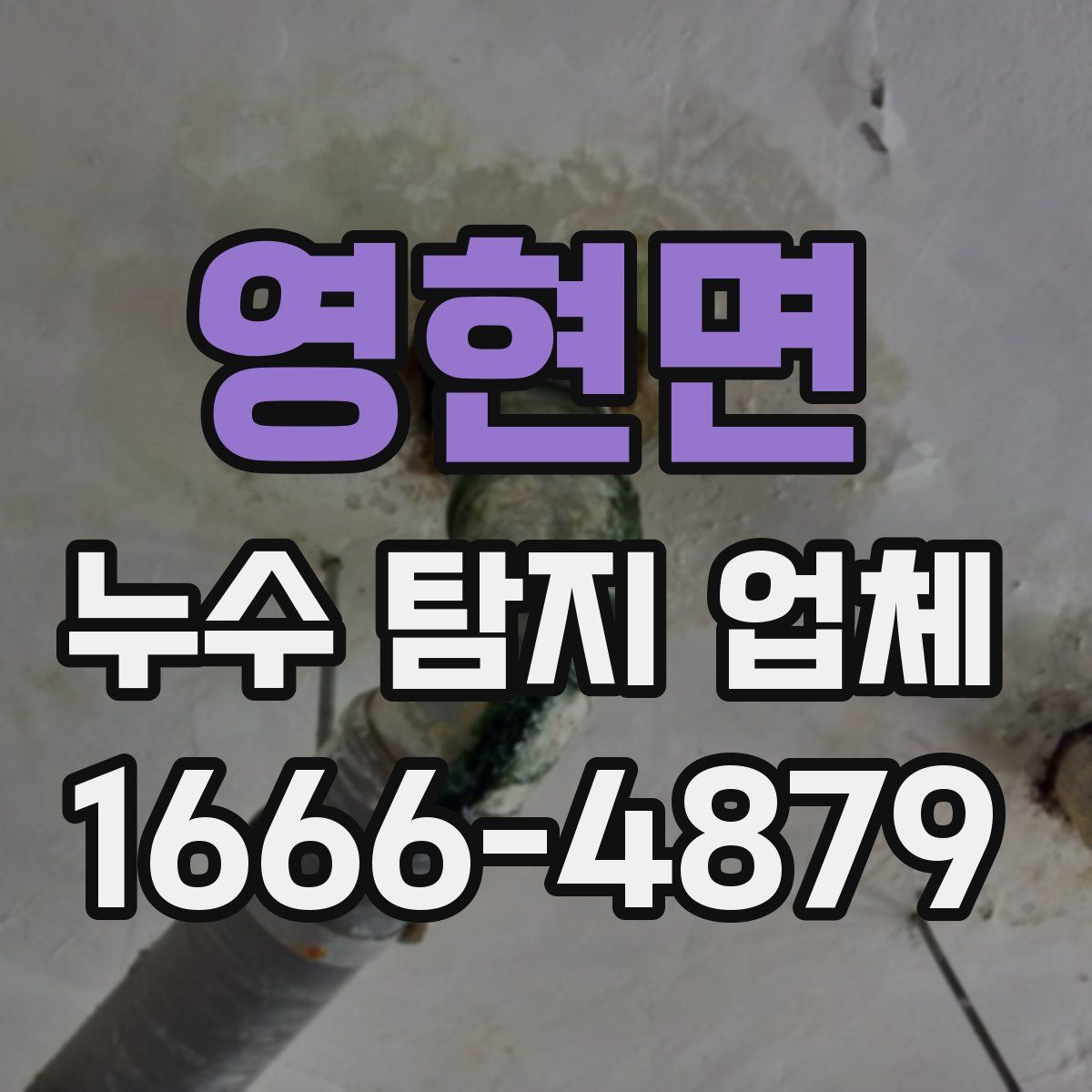 영현면 누수 탐지 업체