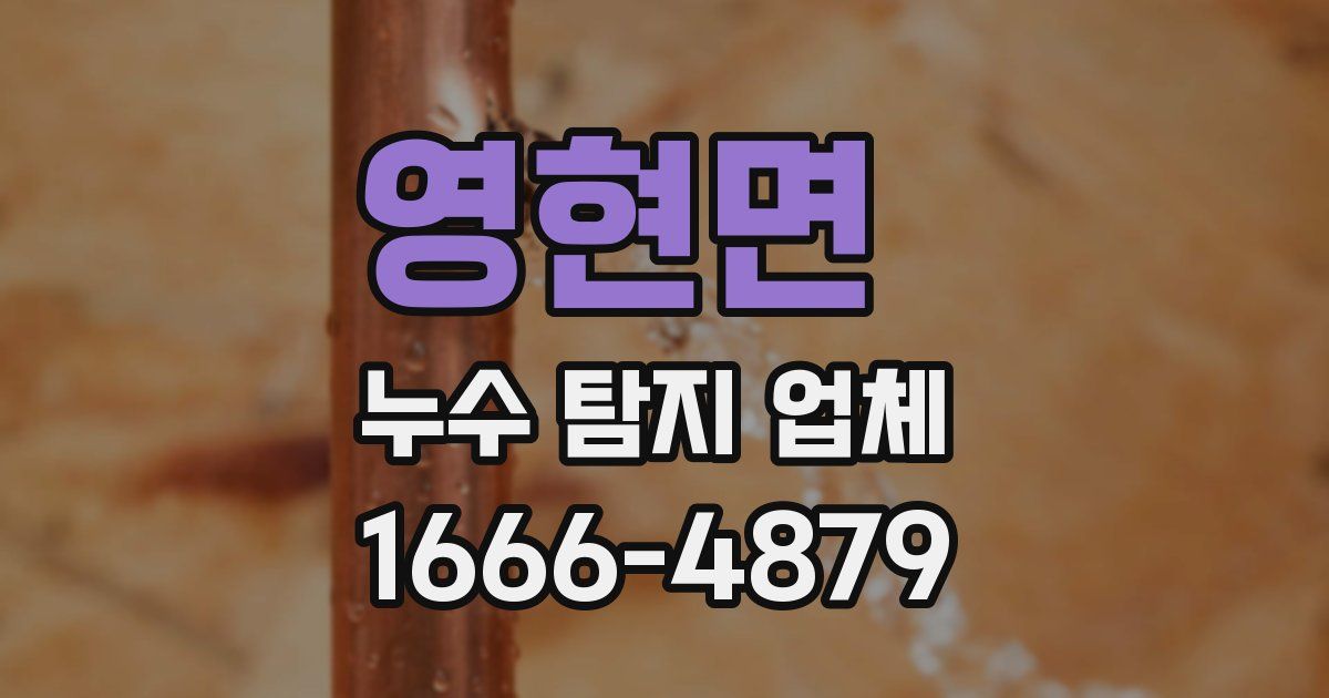 영현면 누수 탐지 업체
