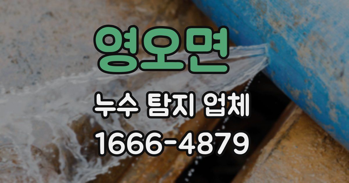 영오면 누수 탐지 업체