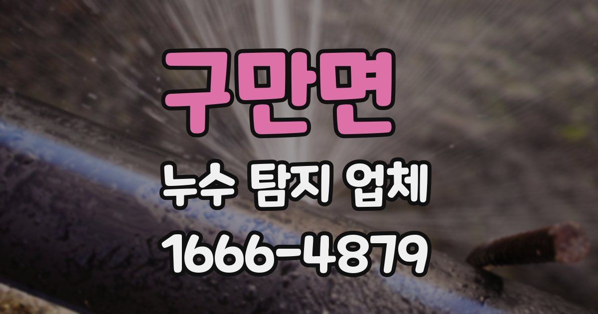 구만면 누수 탐지 업체