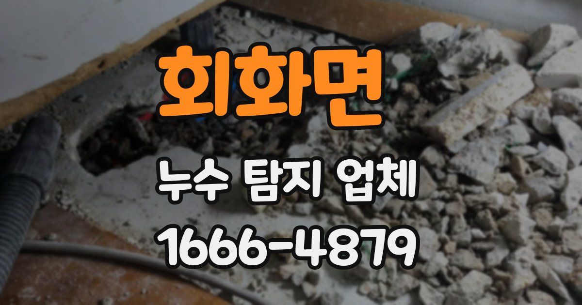 회화면 누수 탐지 업체