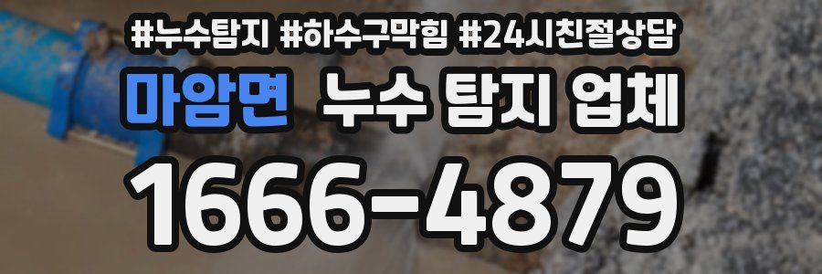 마암면 누수 탐지 업체