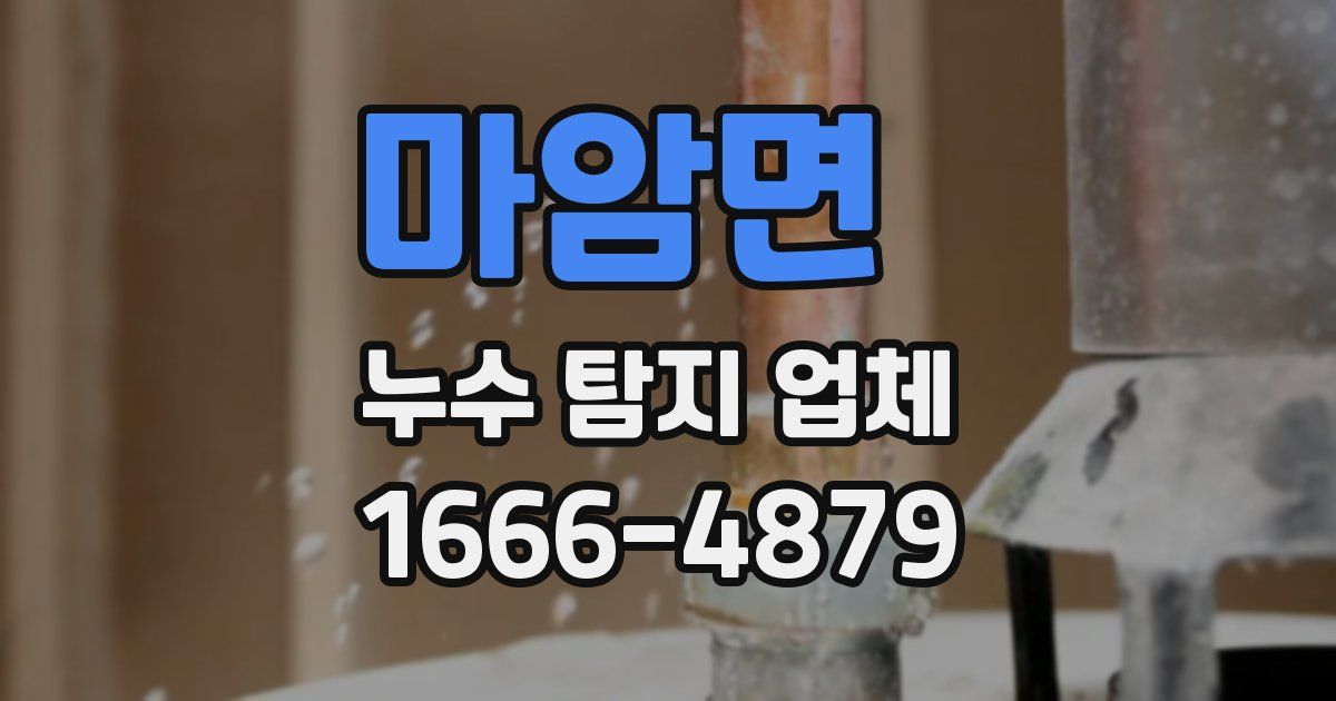 마암면 누수 탐지 업체