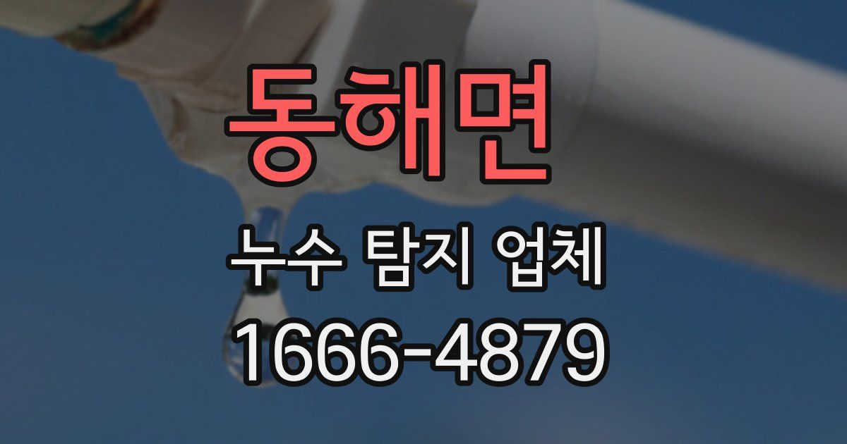 동해면 누수 탐지 업체