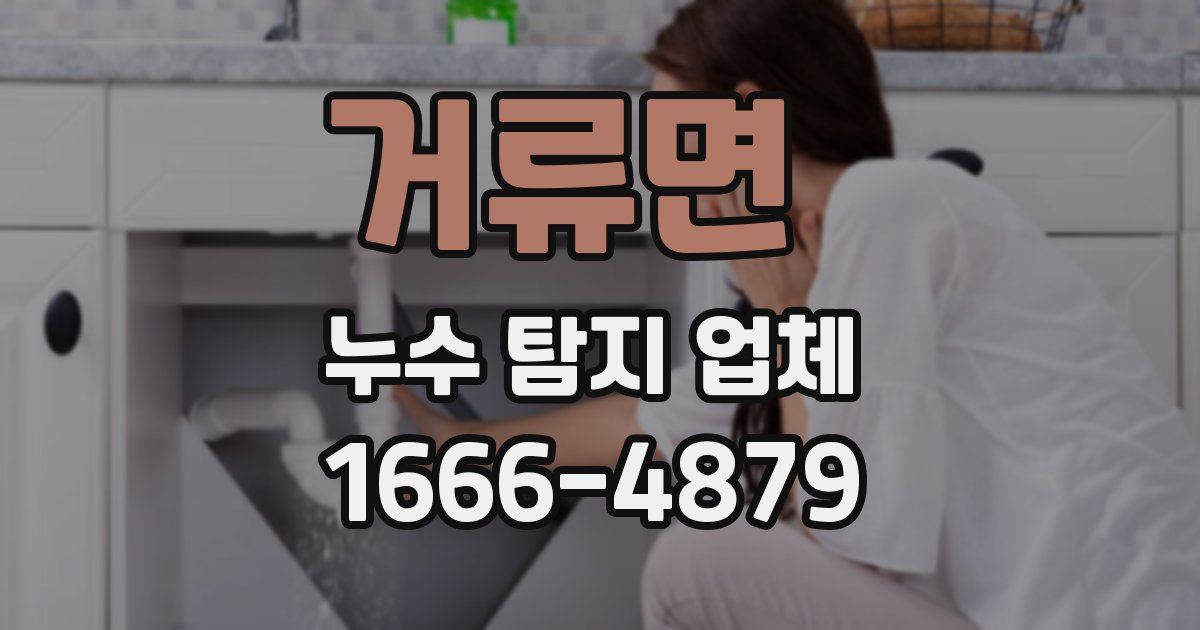 거류면 누수 탐지 업체