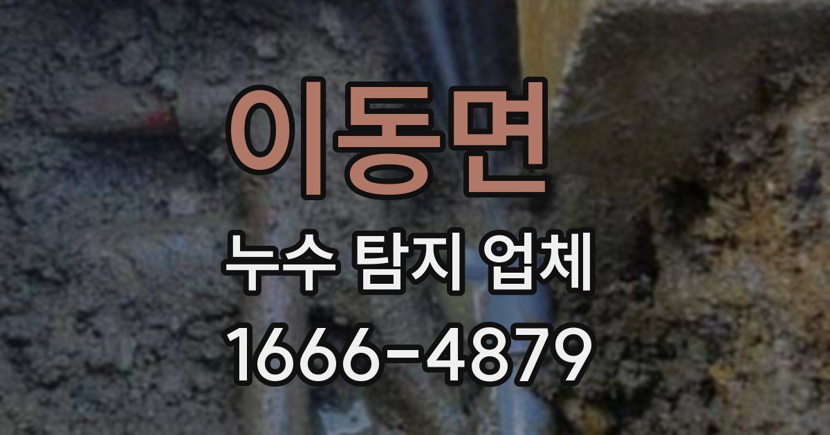 이동면 누수 탐지 업체