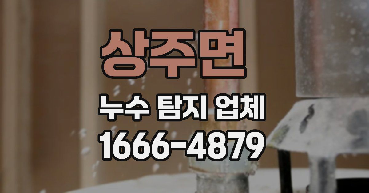 상주면 누수 탐지 업체