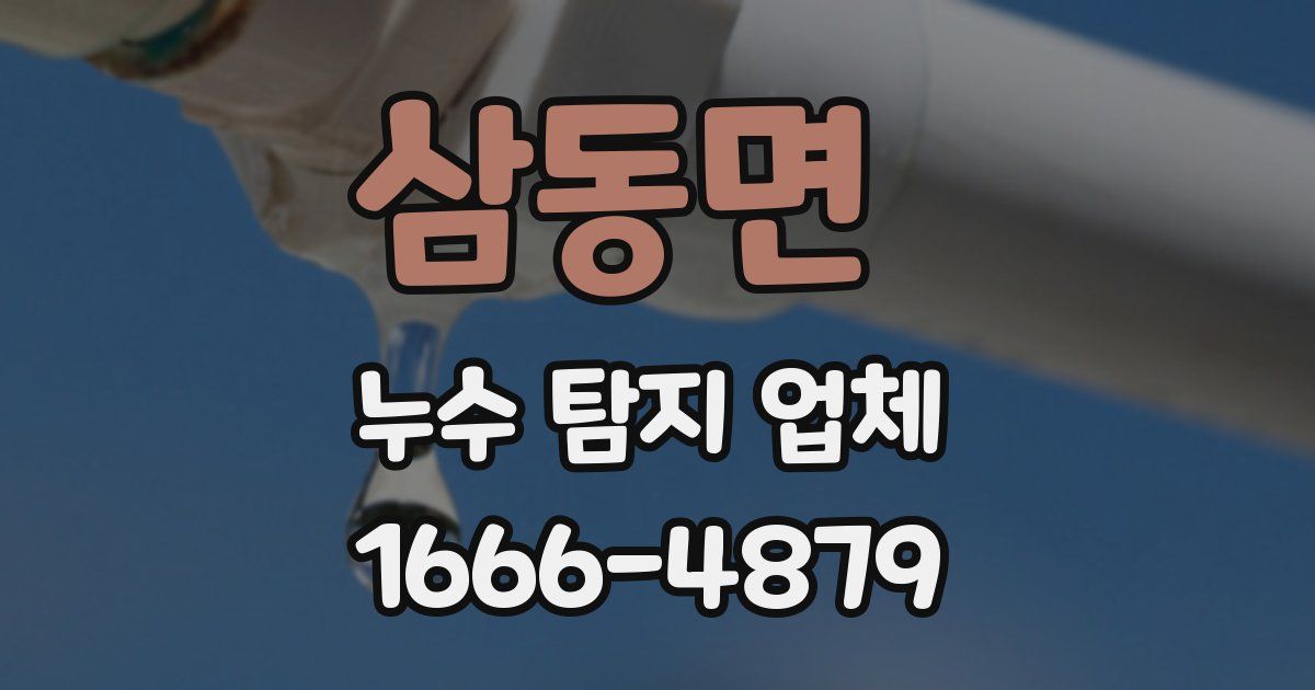 삼동면 누수 탐지 업체