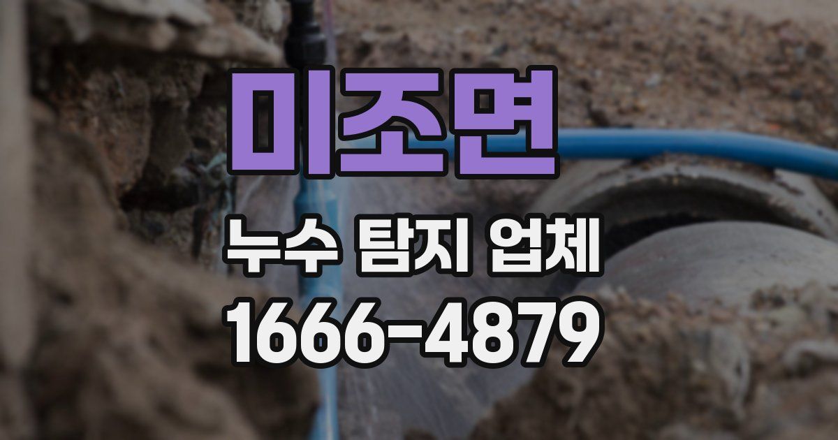 미조면 누수 탐지 업체