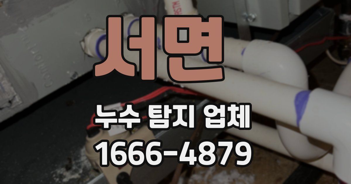 서면 누수 탐지 업체