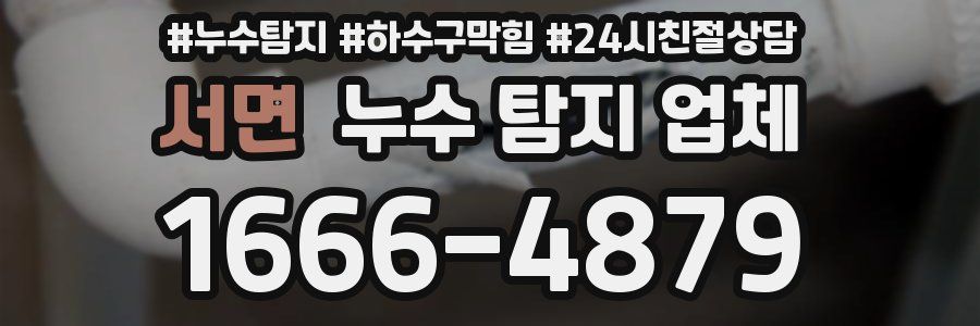 서면 누수 탐지 업체