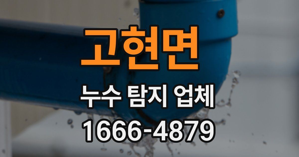고현면 누수 탐지 업체