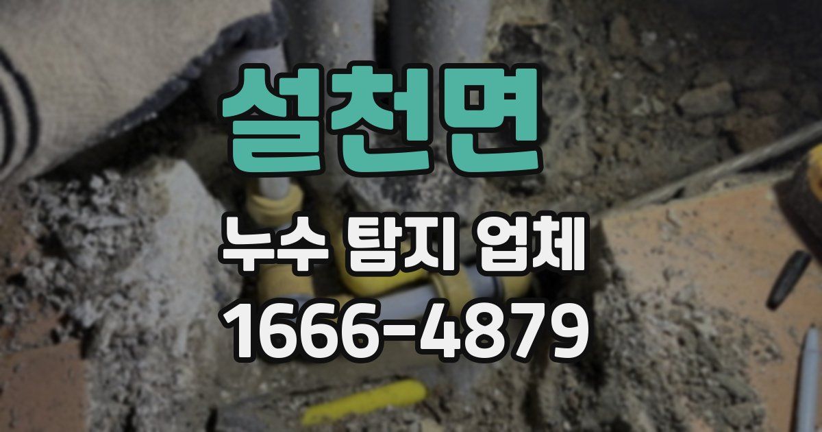 설천면 누수 탐지 업체