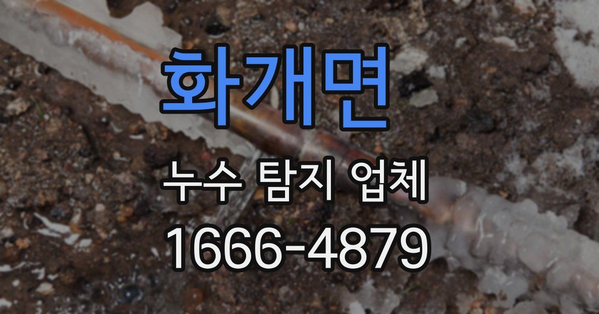 화개면 누수 탐지 업체