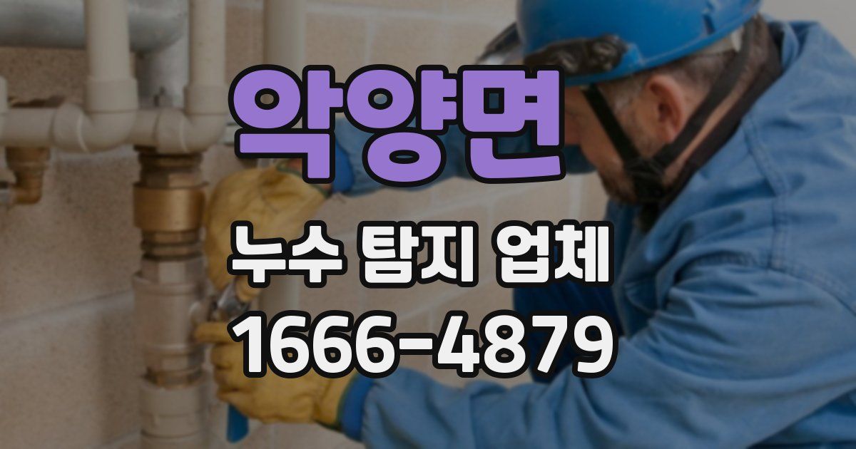 악양면 누수 탐지 업체