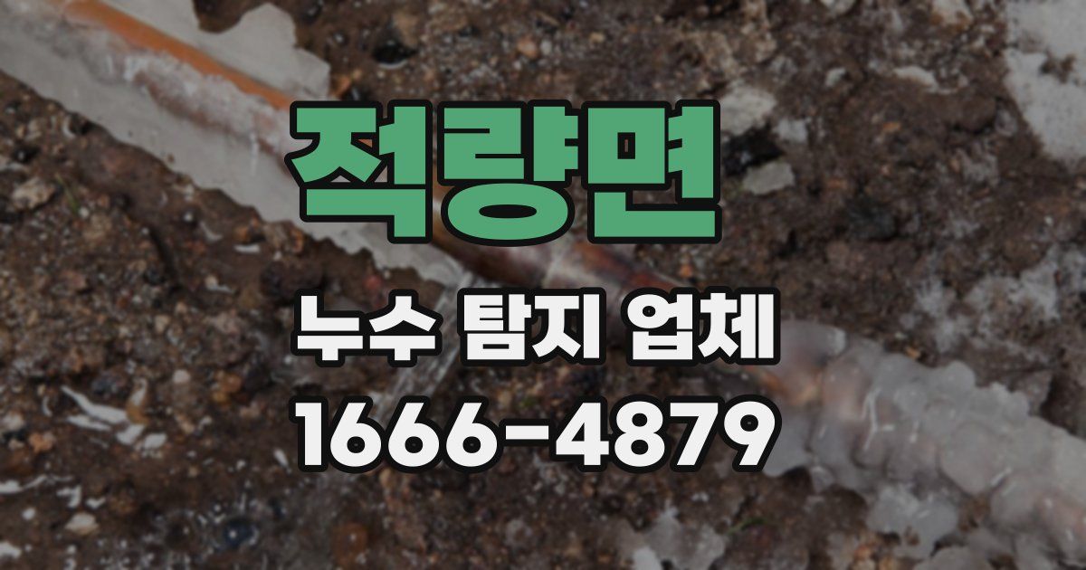 적량면 누수 탐지 업체