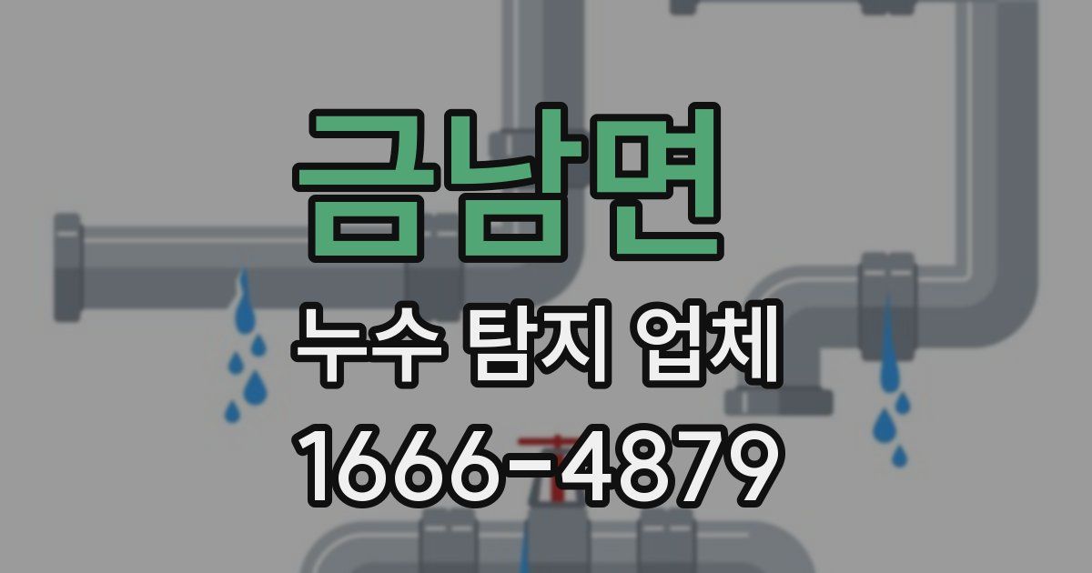 금남면 누수 탐지 업체