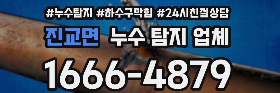 진교면 누수 탐지 업체