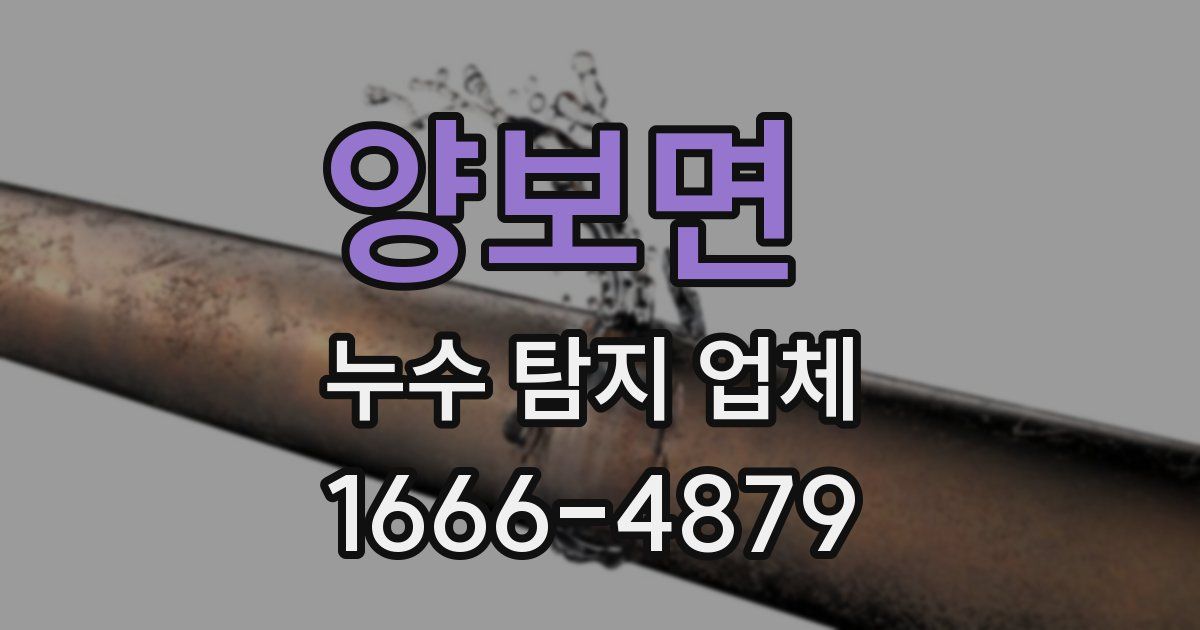 양보면 누수 탐지 업체