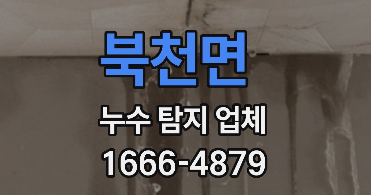 북천면 누수 탐지 업체