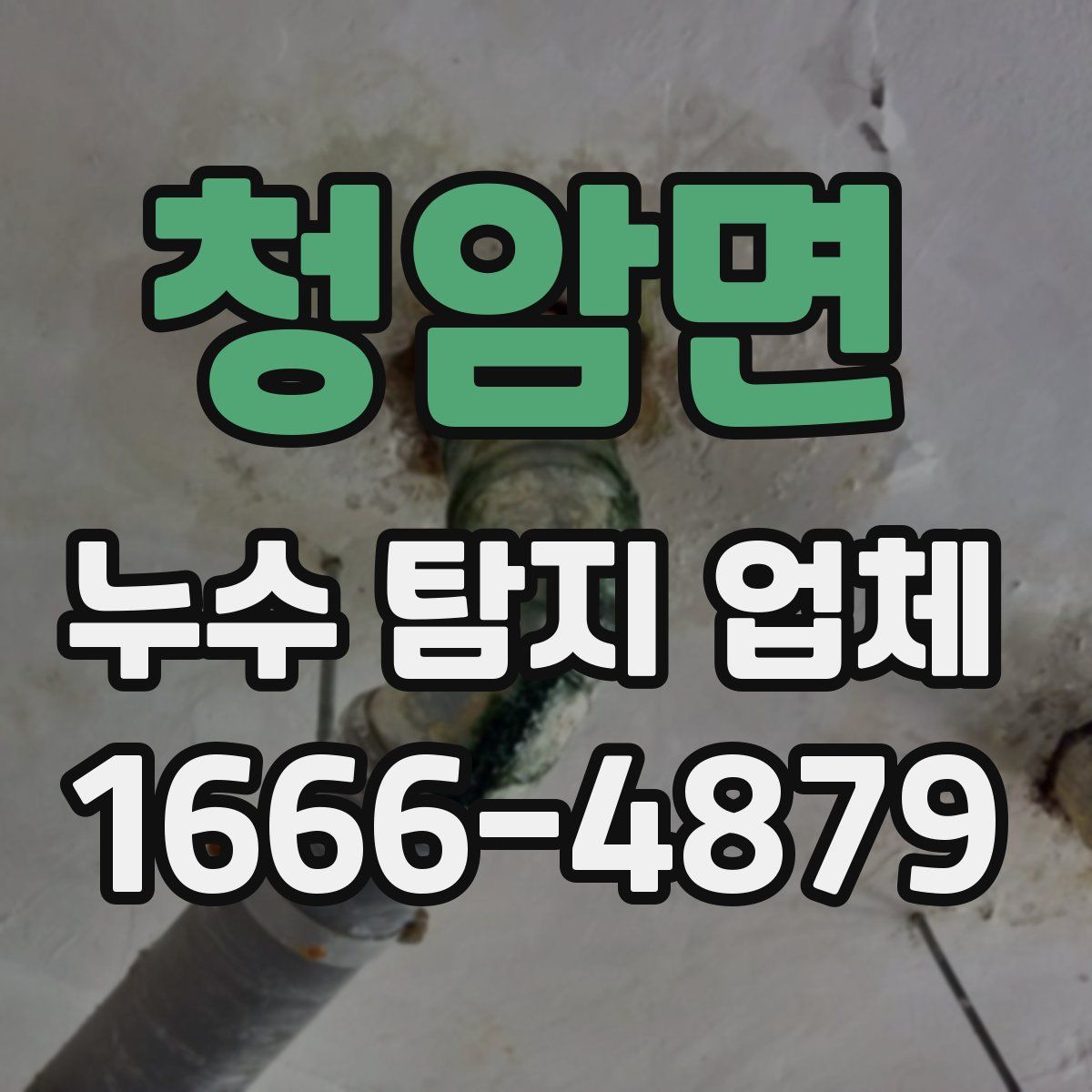 청암면 누수 탐지 업체