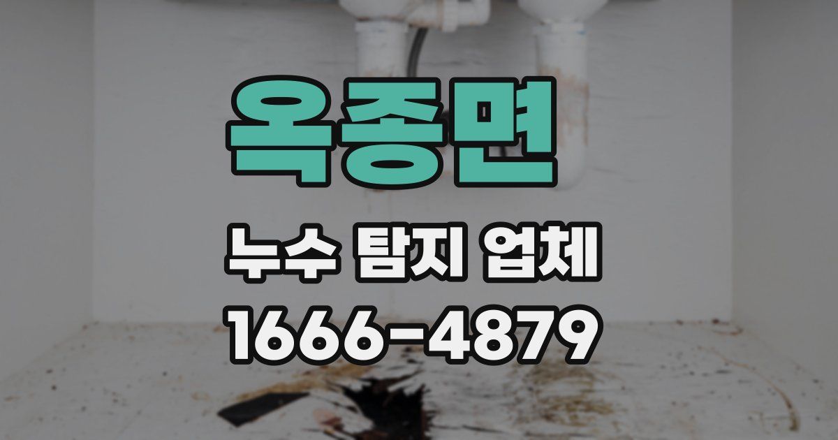 옥종면 누수 탐지 업체