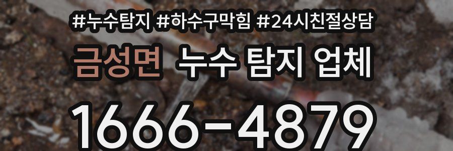 금성면 누수 탐지 업체