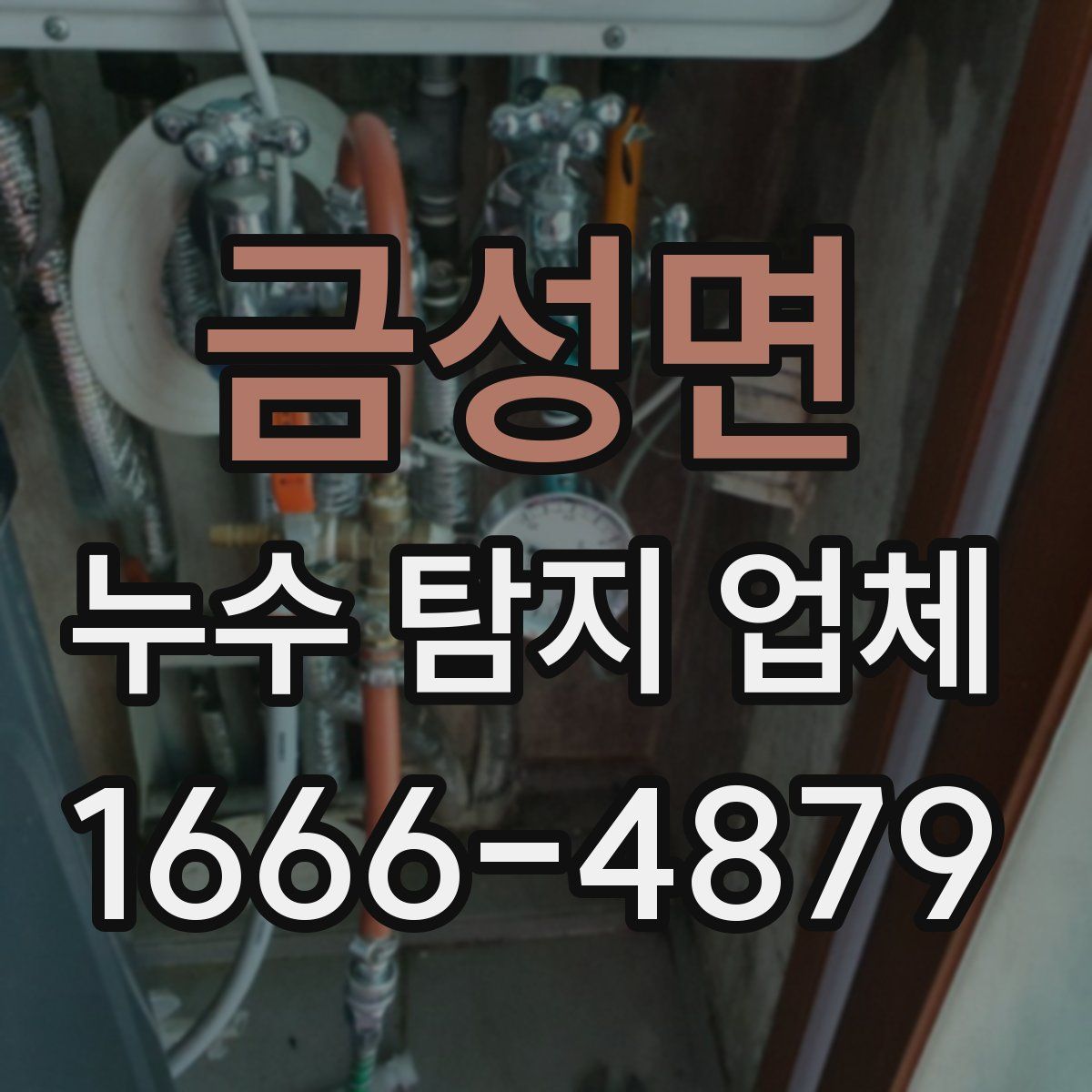 금성면 누수 탐지 업체