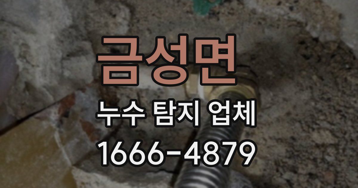 금성면 누수 탐지 업체