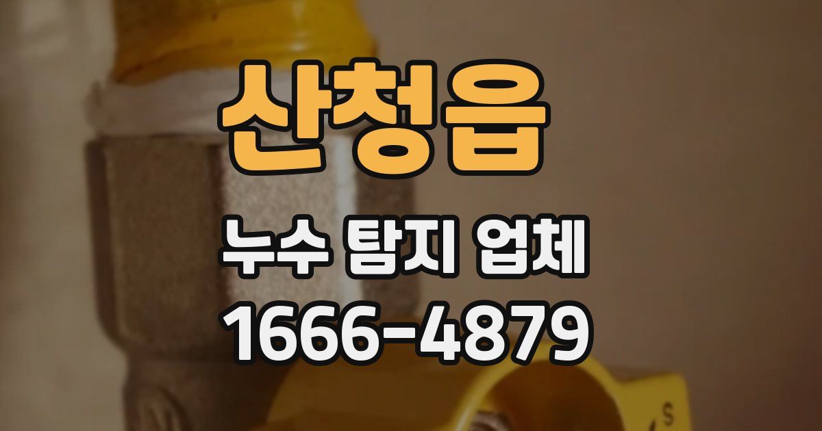 산청읍 누수 탐지 업체