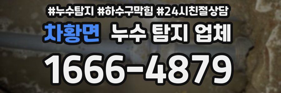 차황면 누수 탐지 업체
