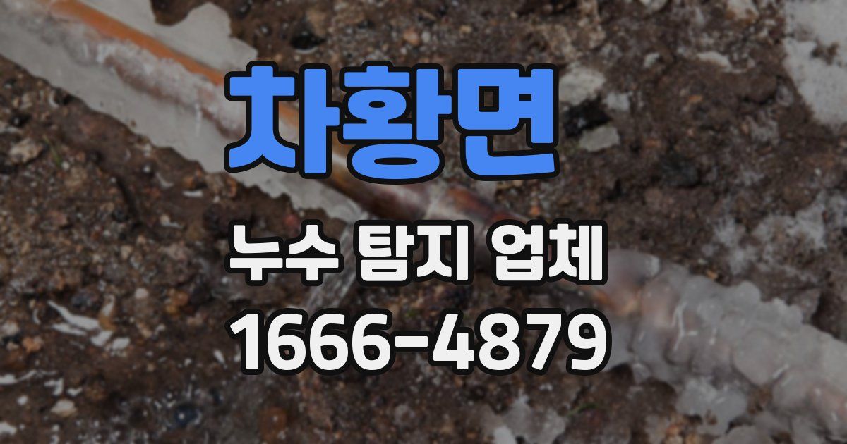 차황면 누수 탐지 업체