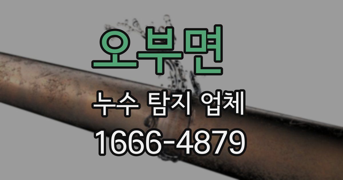 오부면 누수 탐지 업체