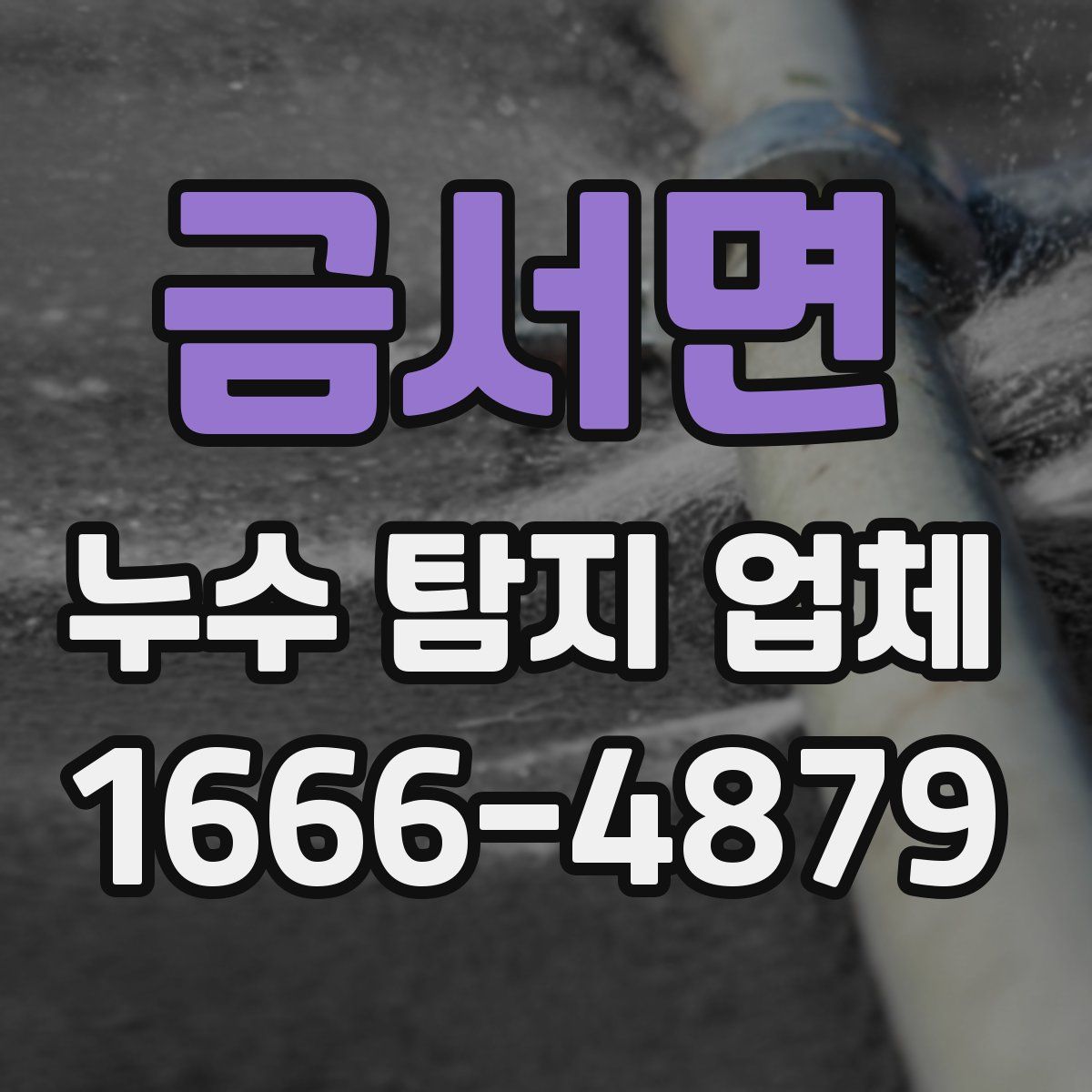금서면 누수 탐지 업체